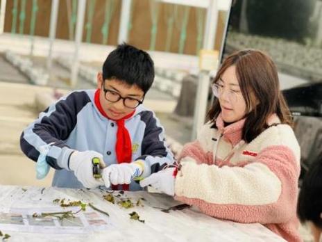 为六年级学生开发了花卉繁殖,特色蔬菜应用,工厂化农业课程